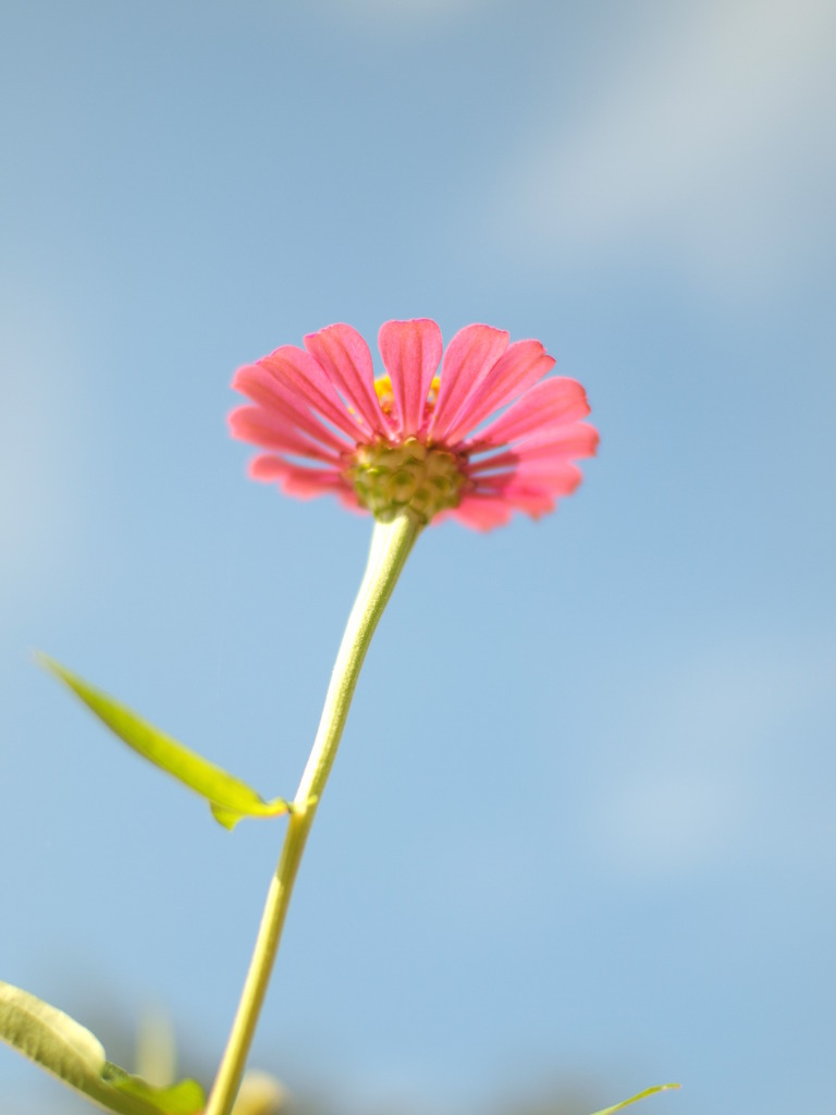空に向かって