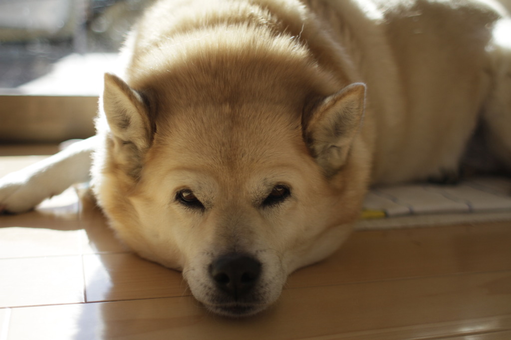 今年も宜しくね