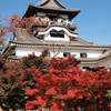 犬山城と紅葉