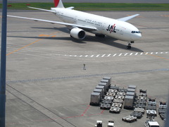 おーいこっち！