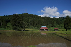 夏の前