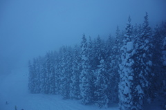 雪森