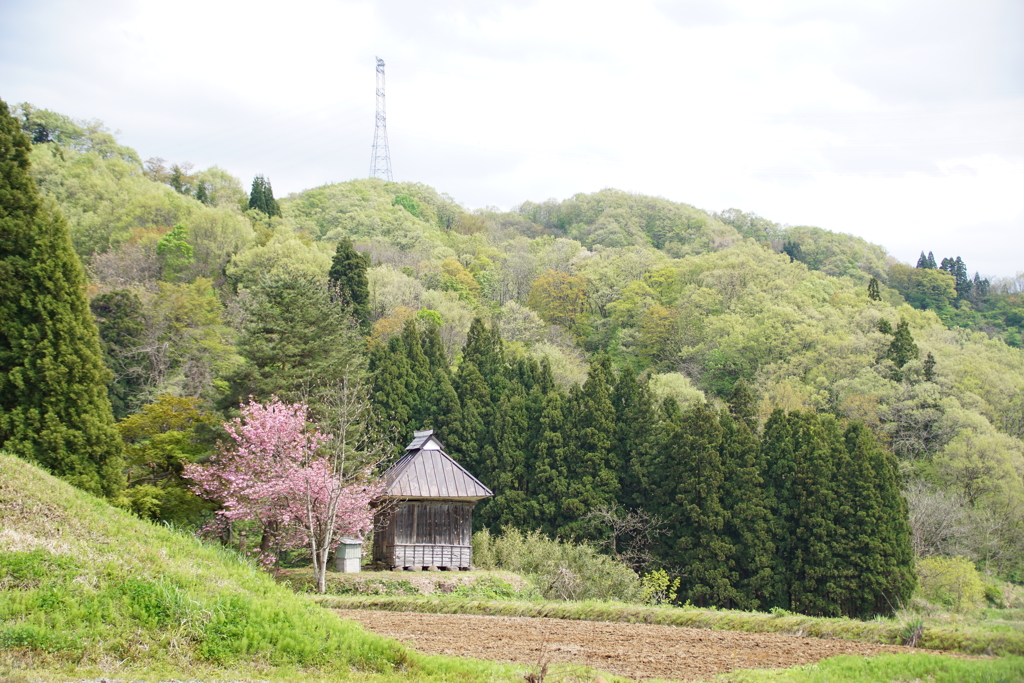萌えぐ山里