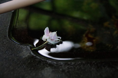 春の終わり
