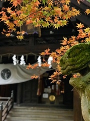 色付き始め