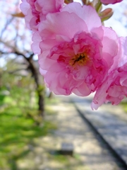 暑くなった春の日に