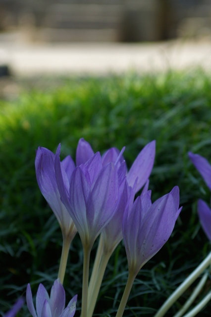 DSC01977
