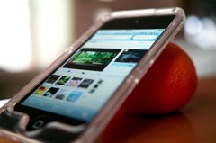 みかんの新たなおしごと