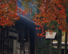 煙