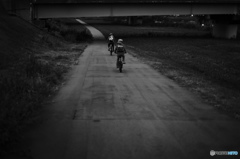 家路