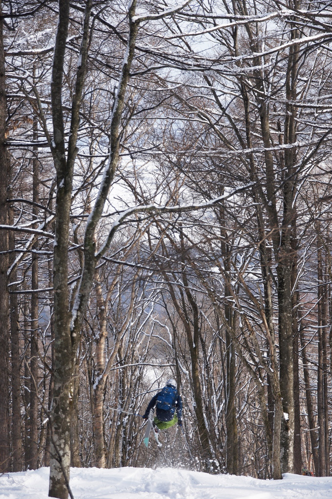 tree　run