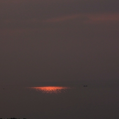 スポットライト