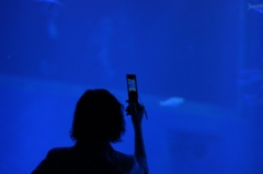 透過するＢｌｕｅ