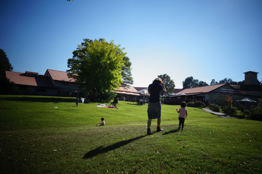 大きな影と小さな影