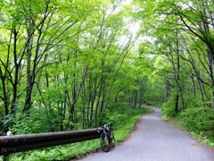 グリーンイオン