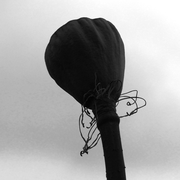 シャワーヘッド