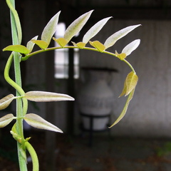 昼下がりの散歩で