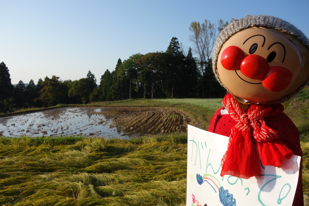 100ｋｍマラソン