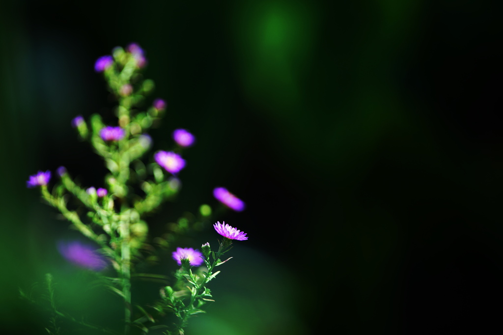 秋の陽だまりで