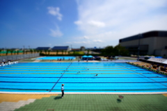 夏のなごりⅡ