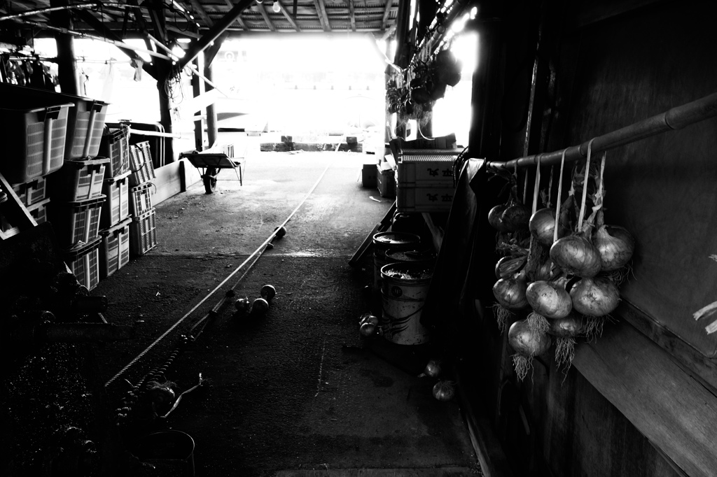 舟屋のたまねぎ