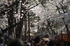 あたたかな吹雪