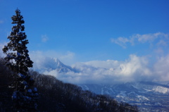 雲と樹