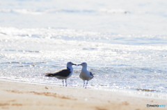 浜辺