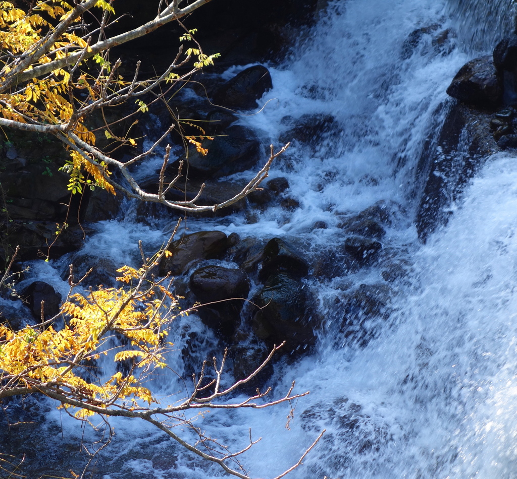 秋陽と水勢