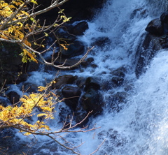 秋陽と水勢