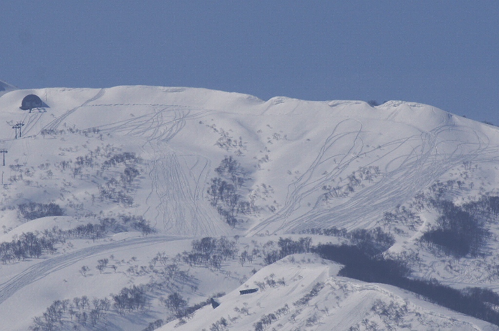 廃スキー場でも人気
