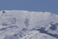 廃スキー場でも人気