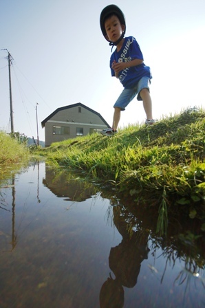 かえるはいづこにー