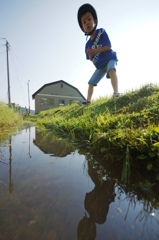 かえるはいづこにー