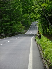 森林道路