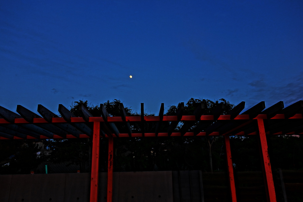 浜から見た月