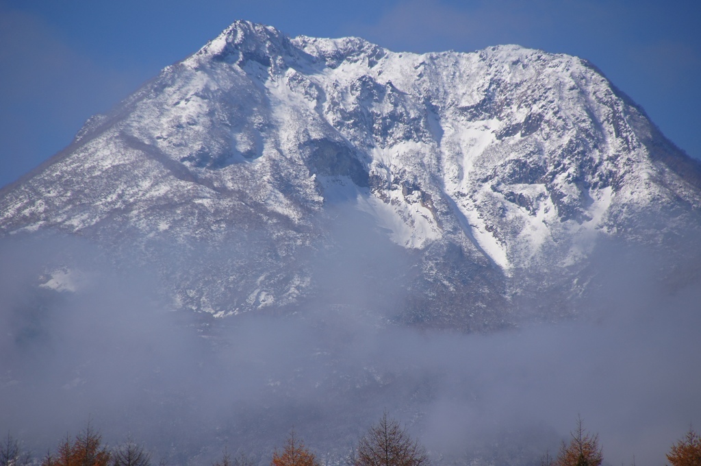 お顔がありますねミョウコウサン
