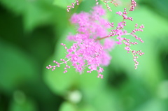 梅雨入り前