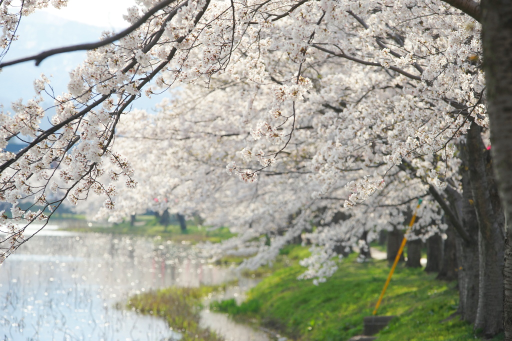 ゆるやかな時間