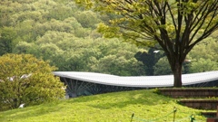 森をうねる屋根