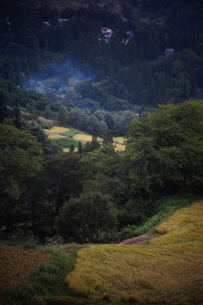 煙たなびく棚田