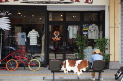 静かなアーケード