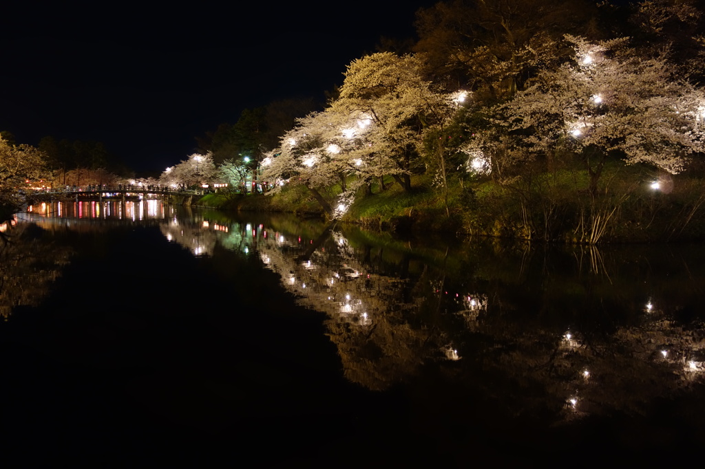 日本三大夜桜