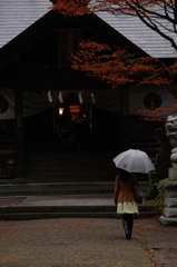 秋雨