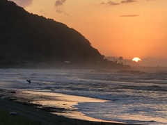 台風のあと