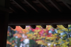 雨粒