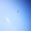 AIR