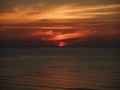 ジュジュっと日没