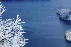 わかさぎ釣り船