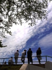 野球観戦